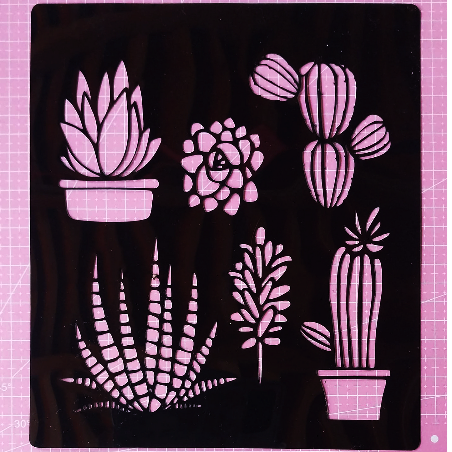 Stencil Cactus y Suculentas 20x24 cms (S187)